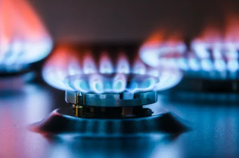 Gas Safety inspections